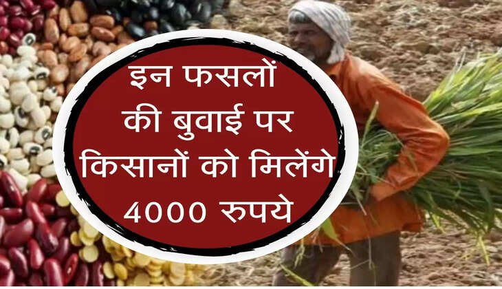 Agriculture News : इन फसलों की बुवाई पर किसानों को मिलेंगे 4000 रुपये, ऐसे करें रजिस्ट्रेशन