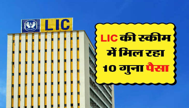 LIC की स्कीम में मिल रहा 10 गुना पैसा, जानिए निवेश का सही तरीका 