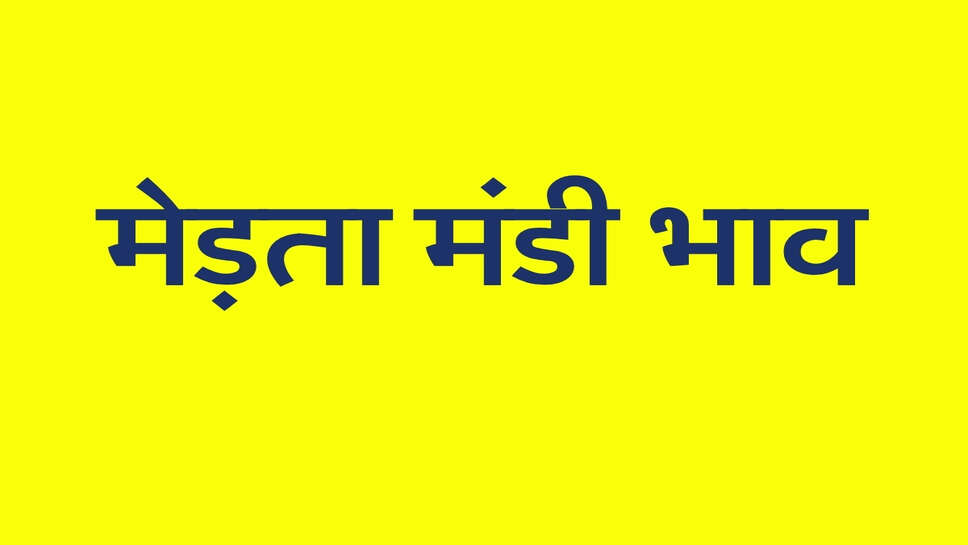 मेड़ता मंडी भाव 29 सितंबर 2026: मूंग और जीरा में तेजी, कई जिंसों में नरमी