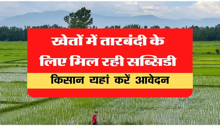 तारबंदी योजना: किसान 50% सब्सिडी पर खेतों में लगवाएं कटीले तारों की बाड़