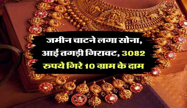 Gold Rate : जमीन चाटने लगा सोना, आई तगड़ी गिरावट, 3082 रुपये गिरे 10 ग्राम के दाम
