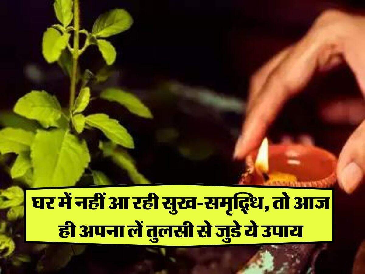 Grah Kalesh Nivaran Upay: घर में नहीं आ रही सुख-समृद्धि, तो आज ही अपना लें तुलसी से जुडे ये उपाय