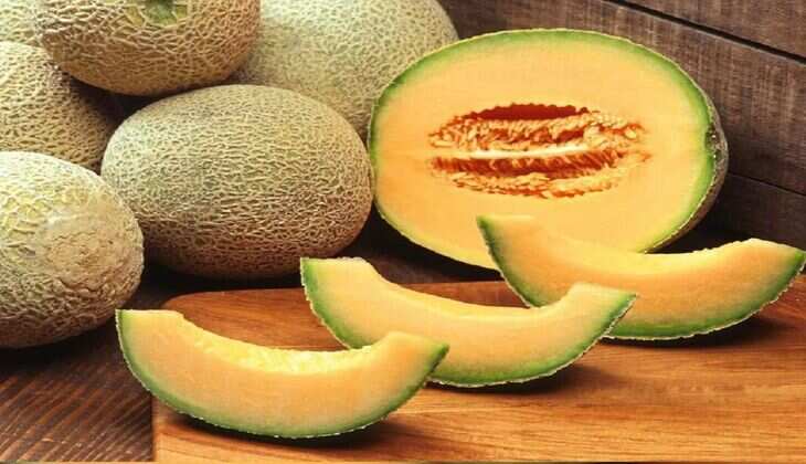 दुनिया का सबसे महंगा खरबूजा, कीमत इतनी कि खरीद लें लग्‍जरी कार