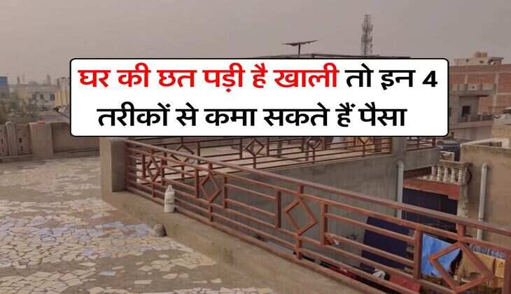 Business Idea : घर की छत पड़ी है खाली तो इन 4 तरीकों से कमा सकते हैं पैसा, छोड़ देंगे 20-30 हजार की नौकरी