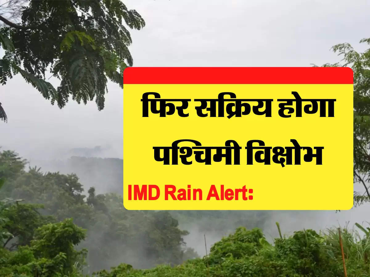 IMD Rain Alert: 18 फरवरी को सक्रिय होगा पश्चिमी विक्षोभ, जानिए दिल्ली यूपी बिहार का पूर्वानुमान