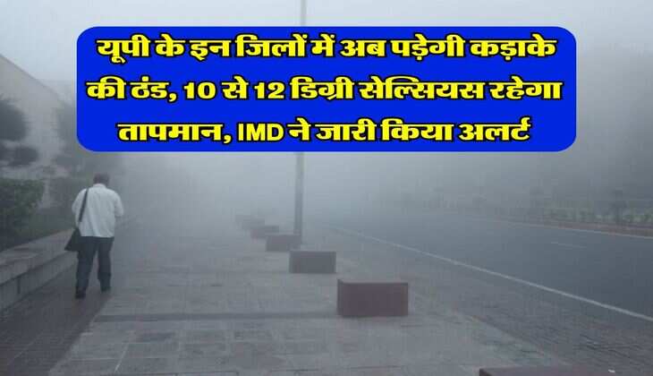 UP Ka Mausam : यूपी के इन जिलों में अब पड़ेगी कड़ाके की ठंड, 10 से 12 डिग्री सेल्सियस रहेगा तापमान, IMD ने जारी किया अलर्ट