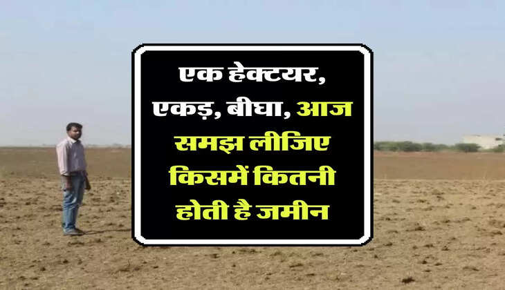 Property Knowledge : एक हेक्टयर, एकड़, बीघा, आज समझ लीजिए किसमें कितनी होती है जमीन