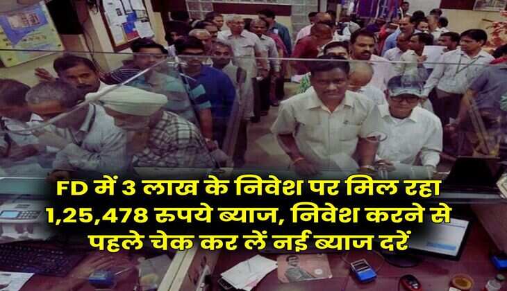 FD में 3 लाख के निवेश पर मिल रहा 1,25,478 रुपये ब्याज, निवेश करने से पहले चेक कर लें नई ब्याज दरें
