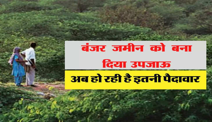 40 साल से बंजर पड़ी जमीन को इस शख्स ने बना दिया उपजाऊ, अब हो रही है इतनी पैदावार