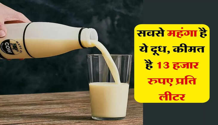 Most Expensive Milk : सबसे महंगा है ये दूध, कीमत है 13 हजार रुपए प्रति लीटर