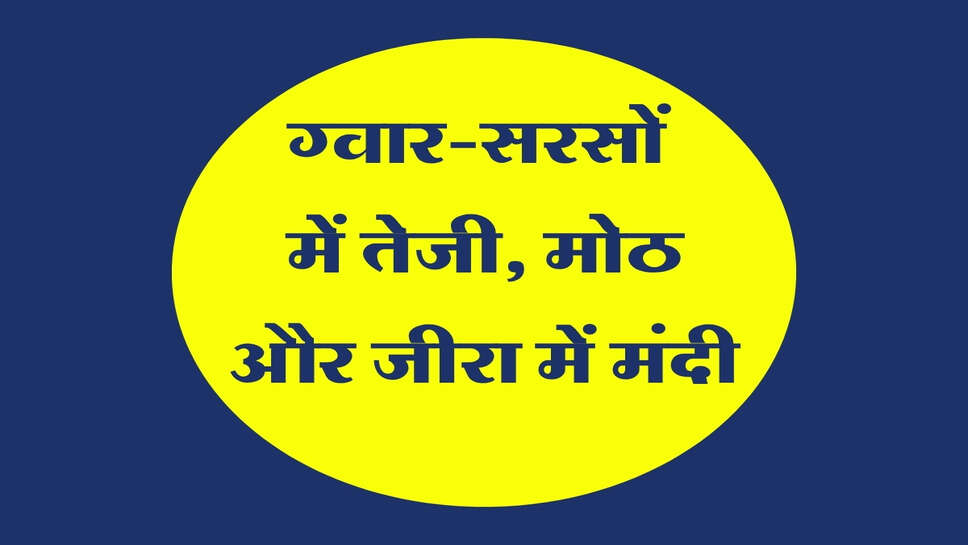 Bikaner Mandi Bhav 10 October 2026: ग्वार-सरसों में तेजी, मोठ और जीरा में मंदी
