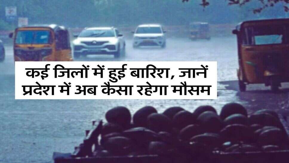 Haryana Rain Alert: कई जिलों में हुई बारिश, जानें प्रदेश में अब कैसा रहेगा मौसम