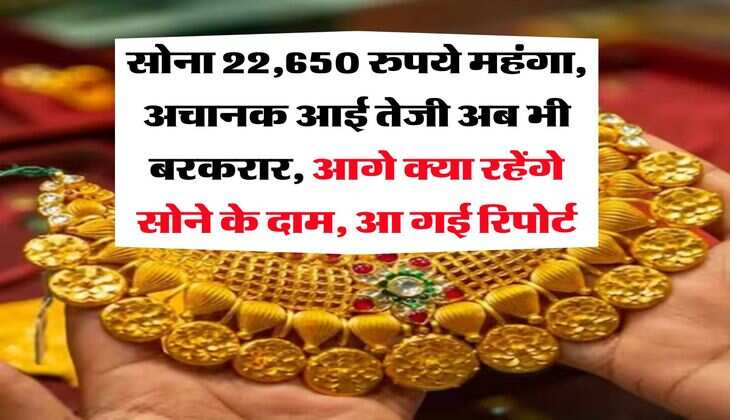 Gold Rate Hike : सोना 22,650 रुपये महंगा, अचानक आई तेजी अब भी बरकरार, आगे क्या रहेंगे सोने के दाम, आ गई रिपोर्ट