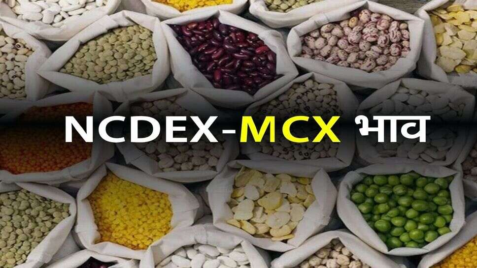 आज के NCDEX-MCX भाव: ग्वार गम, अरंडी, जीरा, धनिया, सोना और चांदी के ताजा रेट