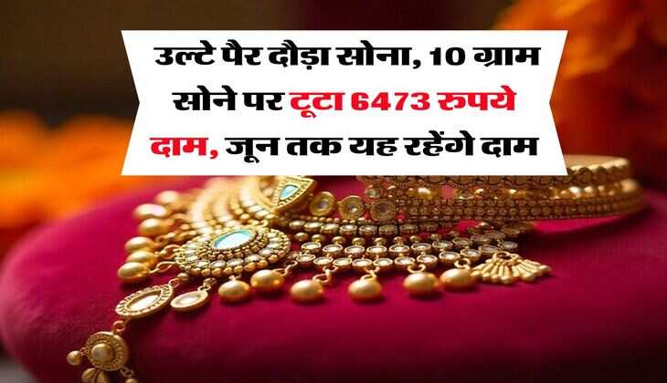Gold Rate : उल्टे पैर दौड़ा सोना, 10 ग्राम सोने पर टूटा 6473 रुपये दाम, जून तक यह रहेंगे दाम