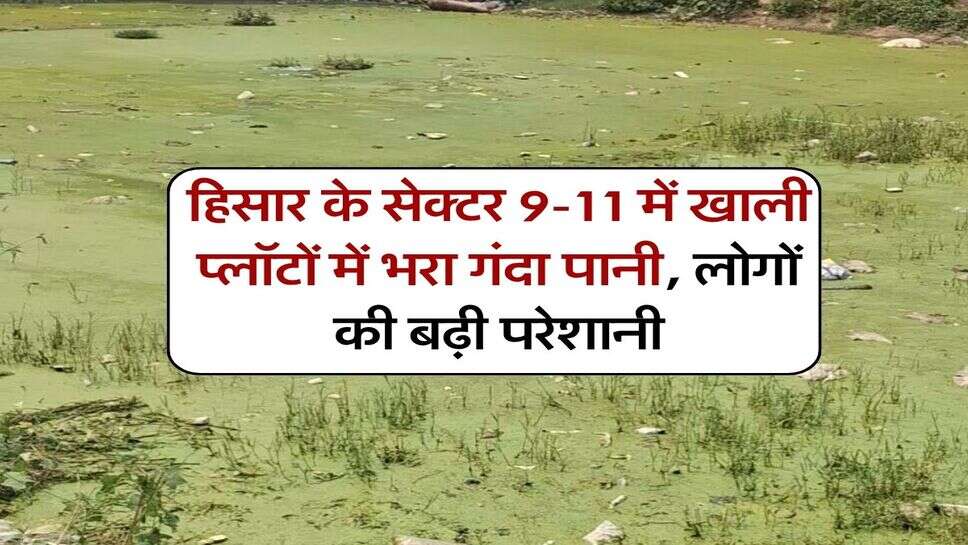 हिसार के सेक्टर 9-11 में खाली प्लॉटों में भरा गंदा पानी, लोगों की बढ़ी परेशानी
