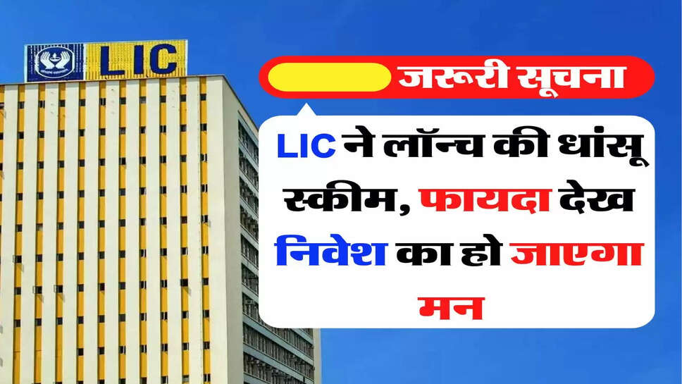 LIC ने लॉन्च की धांसू स्कीम, फायदा देख निवेश का हो जाएगा मन &nbsp;&nbsp;