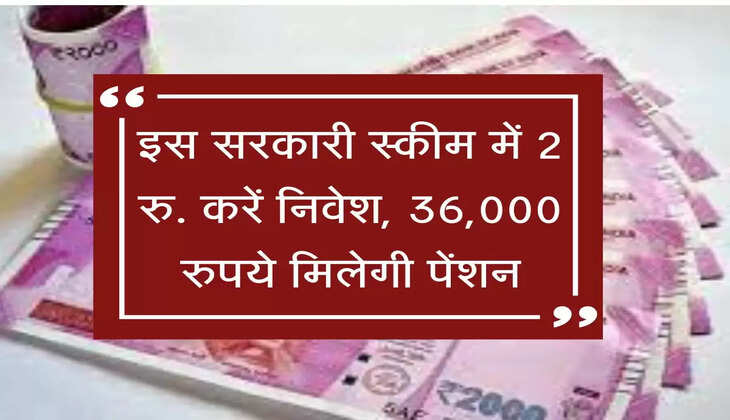 Dhakad Scheme : सरकारी स्कीम में 2 रुपये करें निवेश, 36,000 रुपये मिलेगी पेंशन