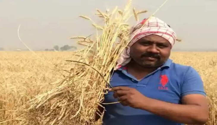 PM Kisan eKYC : बड़ी खबर, कुछ दिन  नहीं होंगे ये काम, जानिए क्या है वजह