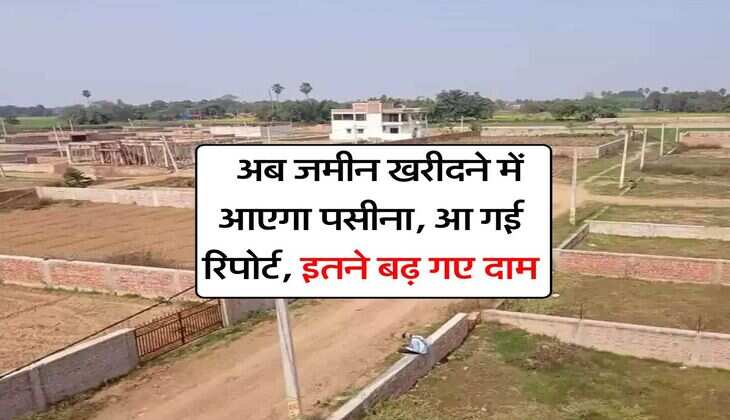 Delhi NCR Property Rates : अब जमीन खरीदने में आएगा पसीना, आ गई रिपोर्ट, इतने बढ़ गए दाम