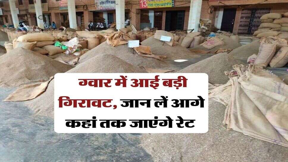 Guar Mandi Bhav : ग्वार में आई बड़ी गिरावट, जान लें आगे कहां तक जाएंगे रेट&nbsp;