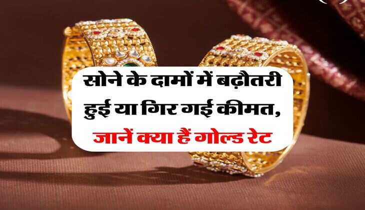Gold Rate : सोने के दामों में बढ़ौतरी हुई या गिर गई कीमत, जानें क्या हैं गोल्ड रेट