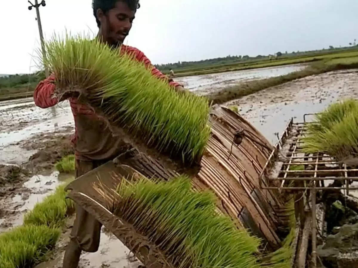 Desi Jugad: किसान के बेटे ने नौकरी छोड़कर जुगाड़ से बनाई ऐसी मशीन, 15 आदमियों का काम मिनटों में कर रही ये मशीन  