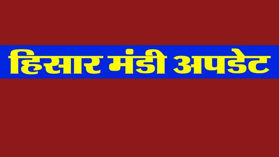 Hisar mandi : हिसार मंडी में बाजरा&nbsp;व्यापारियों के भरोसे, मूंग की सरकारी खरीद पर भी अपडेट