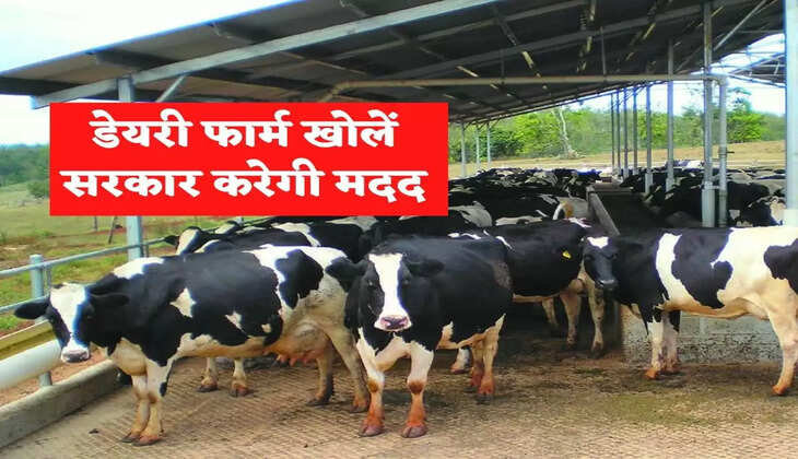 Dry Farm : Ariculture Update : रोजगार की तलाश में हैं तो डेयरी फार्म खोलें, सरकार करेगी मदद