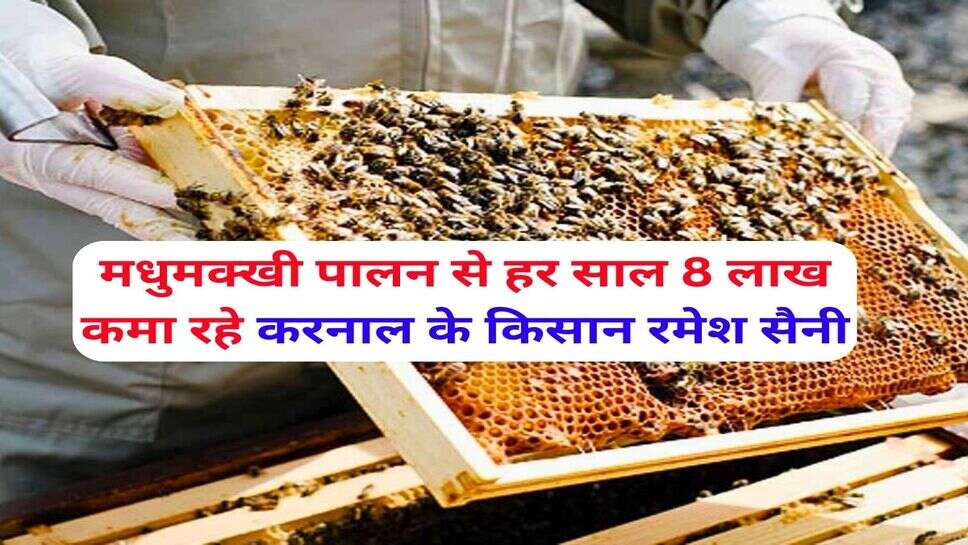 मधुमक्खी पालन से हर साल 8 लाख कमा रहे करनाल के किसान रमेश सैनी