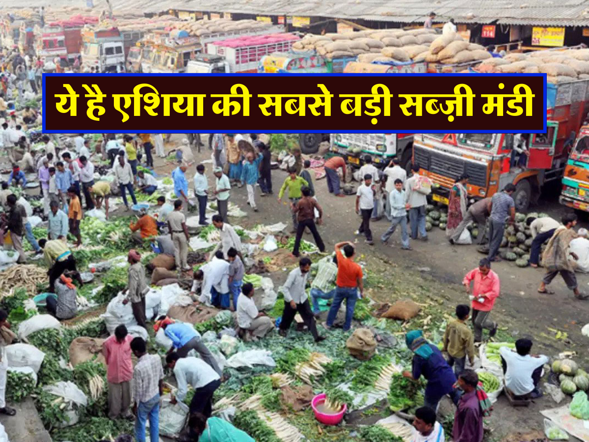 Chaudhary Hari Singh Wholesale Vegetable Market Azadpur