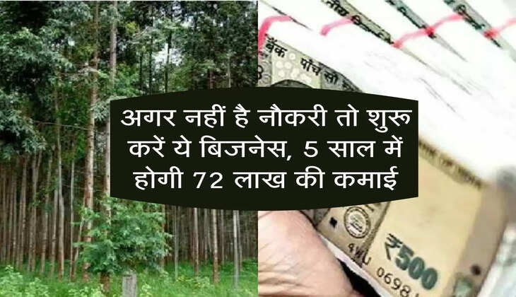 Business Tips : अगर नहीं है नौकरी तो शुरू करें ये बिजनेस, 5 साल में होगी 72 लाख की कमाई