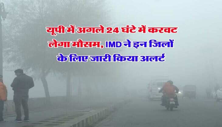 UP Weather Update : यूपी में अगले 24 घंटे में करवट लेगा मौसम, IMD ने इन जिलों के लिए जारी किया अलर्ट