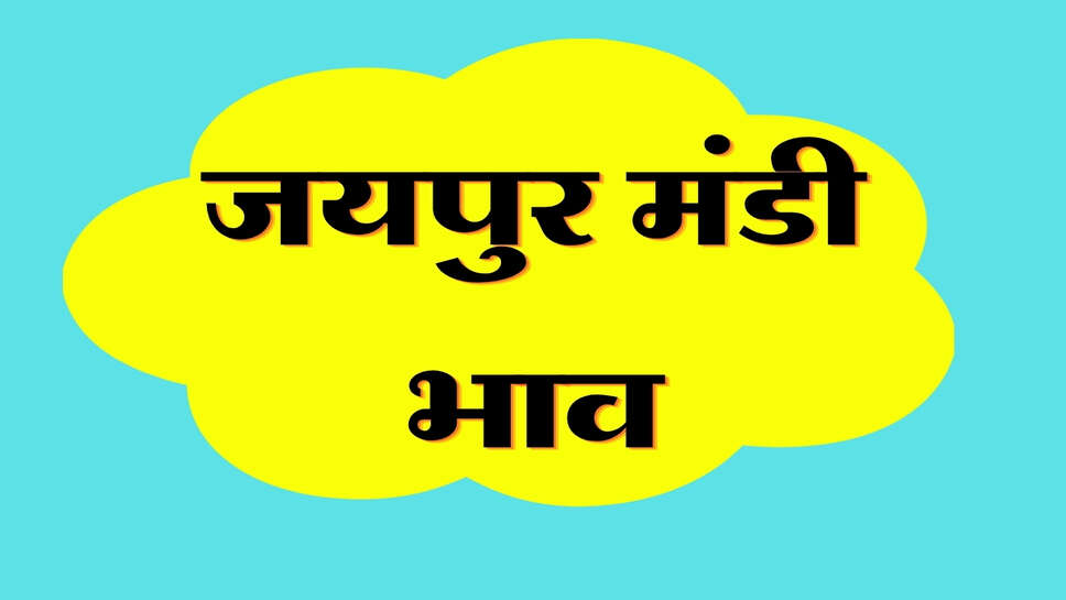 जयपुर मंडी भाव 24 अक्टूबर 2026: गेहूं 50 रुपए और सरसों 75 रुपए तेज, ग्वार सीड-ग्वारगम में गिरावट