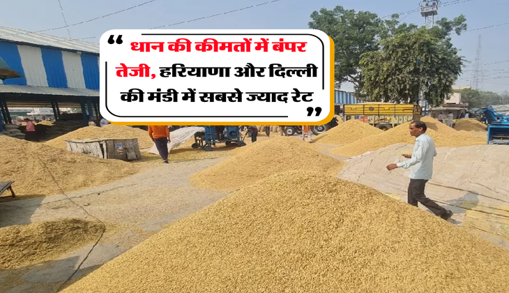 Mandi Bhav : धान की कीमतों में बंपर तेजी, हरियाणा और दिल्ली की मंडी में सबसे ज्याद रेट