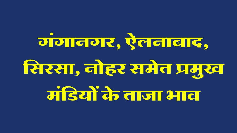 27 सितंबर 2026 मंडी भाव: गंगानगर, ऐलनाबाद, सिरसा, नोहर समेत प्रमुख मंडियों के ताजा भाव