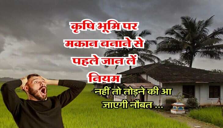 Property News: कृषि भूमि पर मकान बनाने से पहले जान लें नियम, नहीं तो तोड़ने की आ जाएगी नौबत 