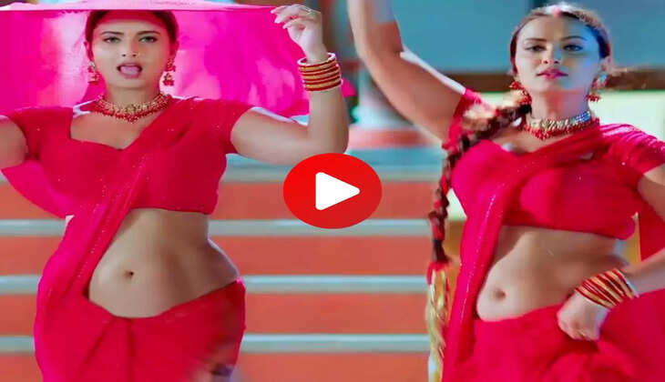 Neelam giri ने साड़ी पहन दिए कातिलाना पोज, देख फैंस हुए दीवाने