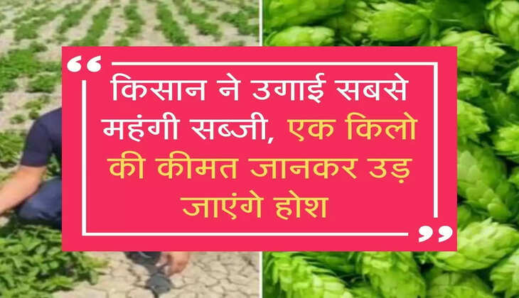 किसान ने उगाई सबसे महंगी सब्जी, एक किलो की कीमत जानकर उड़ जाएंगे होश 
