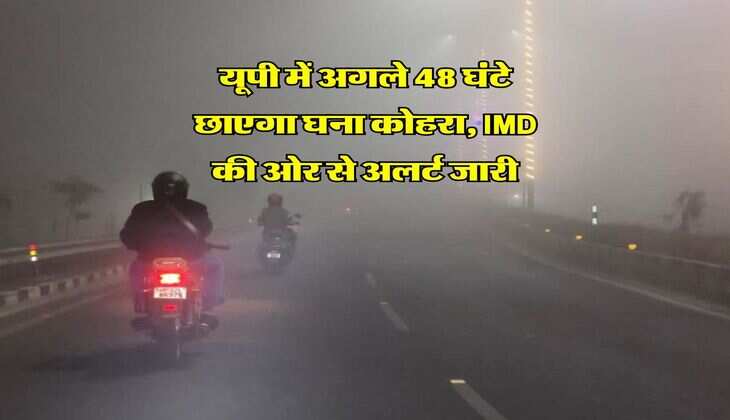 UP Mausam : यूपी में अगले 48 घंटे छाएगा घना कोहरा, IMD की ओर से अलर्ट जारी