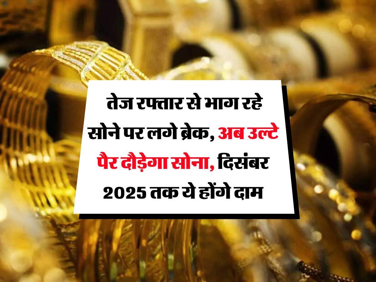 MCX Gold Rate : तेज रफ्तार से भाग रहे सोने पर लगे ब्रेक, अब उल्टे पैर दौड़ेगा सोना, दिसंबर 2025 तक ये होंगे दाम
