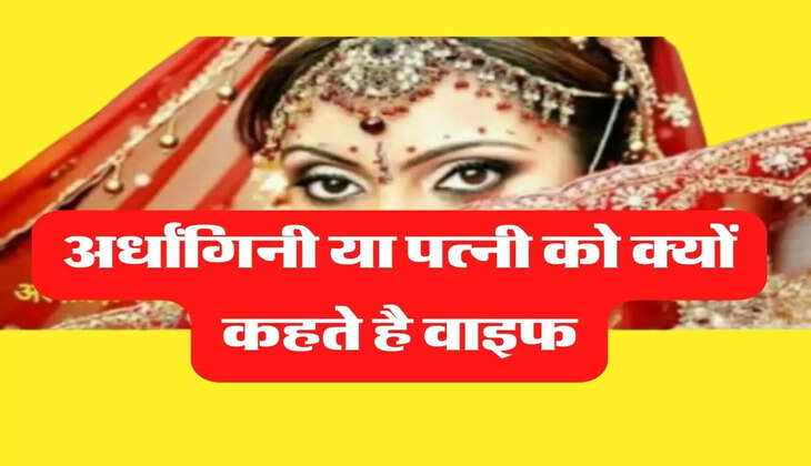 IAS Interview Questions: अर्धांगिनी या पत्नी को क्यों कहते है वाइफ, जानिए इसके पीछे का कारण