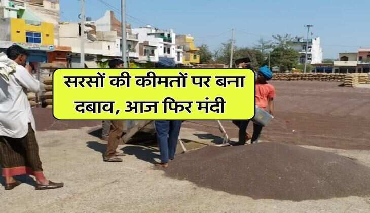 Sarso Mandi Rate : सरसों की कीमतों पर बना दबाव, आज फिर मंदी