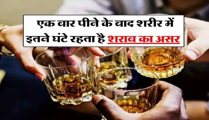 Wine Beer : एक बार पीने के बाद शरीर में इतने घंटे रहता है शराब का असर 