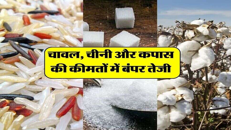 चावल, चीनी और कपास की कीमतों में बंपर तेजी