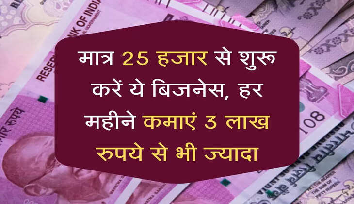 मात्र 25 हजार से शुरू करें ये बिजनेस, हर महीने कमाएं 3 लाख रुपये से भी ज्यादा