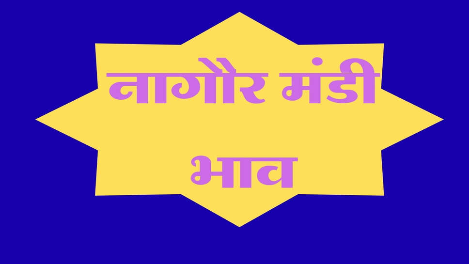 नागौर मंडी भाव 15 अक्टूबर 2026: जीरा और ईसबगोल में तेजी, मोठ-चना के भाव में उछाल