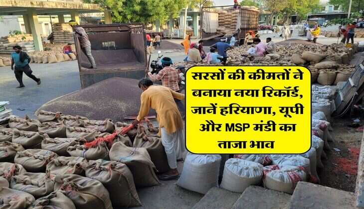 Sarso Mandi rate : सरसों की कीमतों ने बनाया नया रिकॉर्ड, जानें हरियाणा, यूपी और MSP मंडी का ताजा भाव&nbsp;