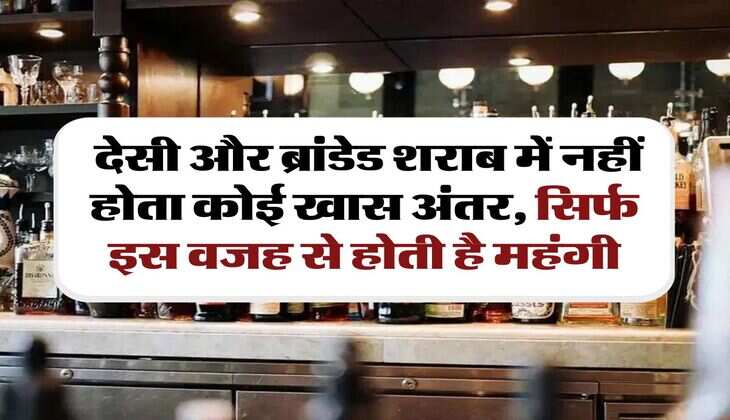 wine beer : देसी और ब्रांडेड शराब में नहीं होता कोई खास अंतर, सिर्फ इस वजह से होती है महंगी