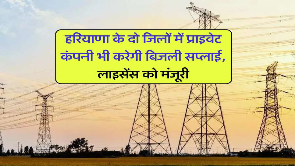 हरियाणा के दो जिलों में प्राइवेट कंपनी भी करेगी बिजली सप्लाई, लाइसेंस को मंजूरी